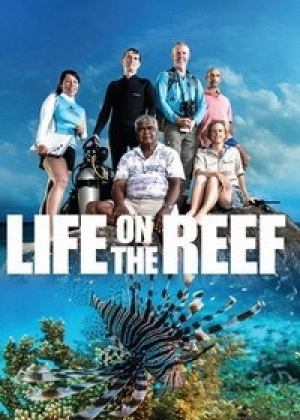 Жизнь на Большом Барьерном рифе  смотреть онлайн