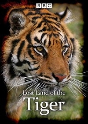 Экспедиция Тигр смотреть онлайн