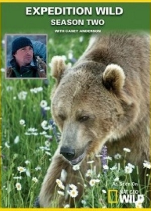 Кейси и Брут: в мире медведей