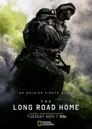Долгая дорога домой (2017)