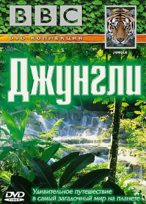 Джунгли