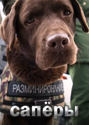 Саперы онлайн