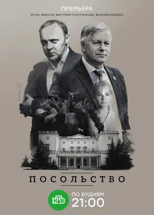 Посольство онлайн