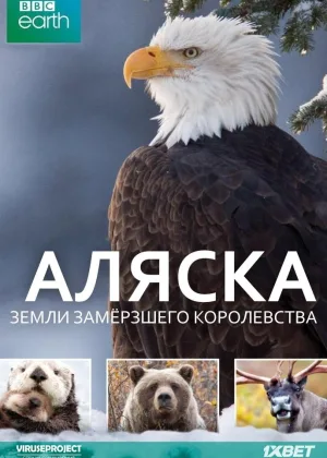 Аляска: земли замерзшего королевства
