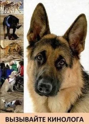 Вызывайте кинолога онлайн