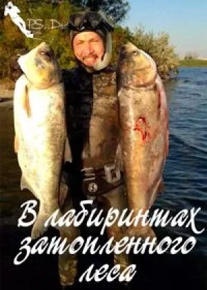 В лабиринтах затопленного леса онлайн