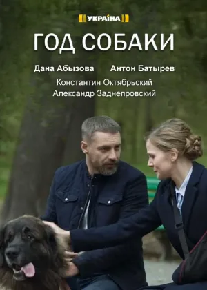 Год собаки онлайн