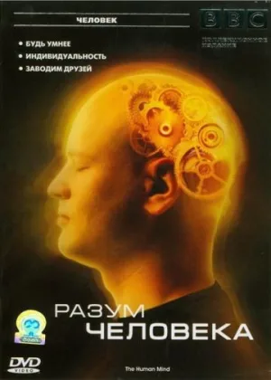 Разум человека