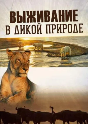 Выживание в дикой природе