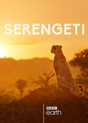 Серенгети