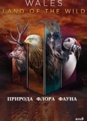 Уэльс: дикая земля