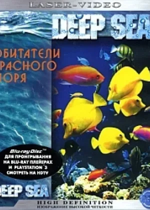 Обитатели Красного моря