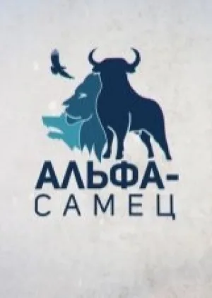 Альфа-самец онлайн