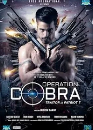 Операция «Кобра»