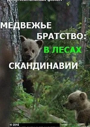 Медвежье братство. В лесах Скандинавии
