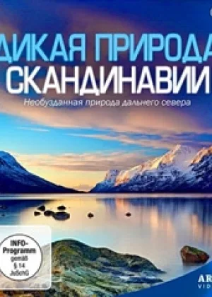 Дикая природа Скандинавии
