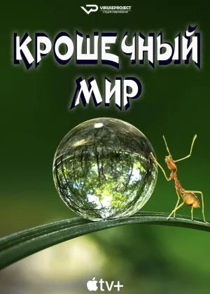 Крошечный мир