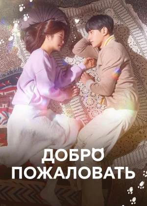 Добро пожаловать