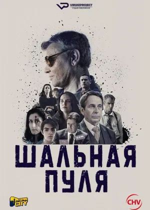 Шальная пуля