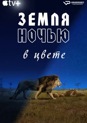 Земля ночью в цвете
