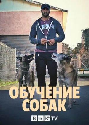 Обучение собак
