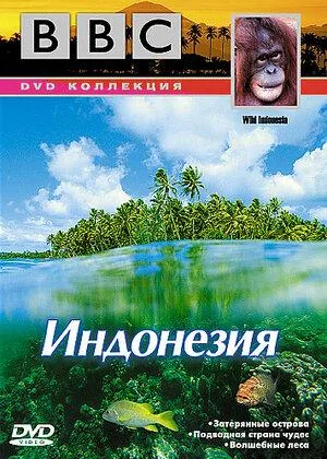 По странам и континентам. Дикая Индонезия