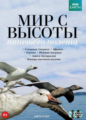 Мир с высоты птичьего полета