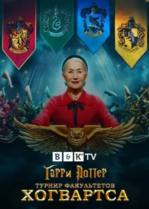Гарри Поттер: Турнир факультетов Хогвартса