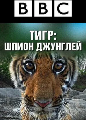 Тигр: Шпион джунглей