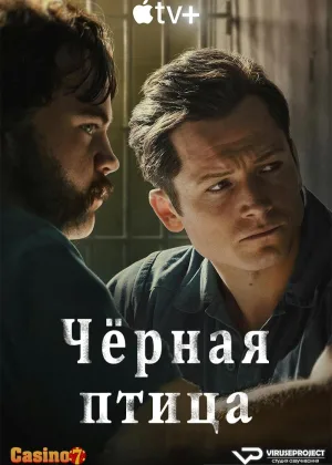 Черная птица