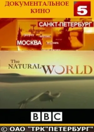 Мир природы
