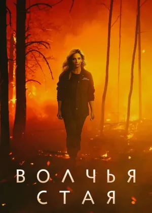 Волчья стая