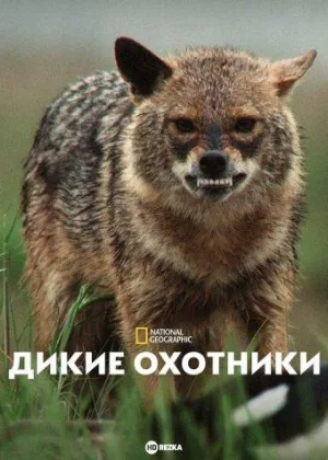 Дикие охотники