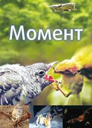 Момент