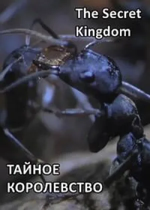 Тайное королевство