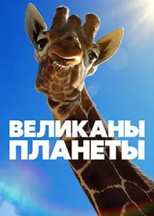 Великаны планеты