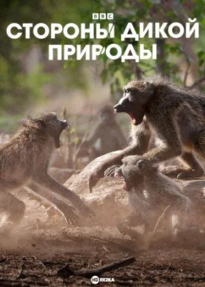 Стороны дикой природы