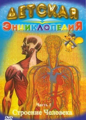Строение человека