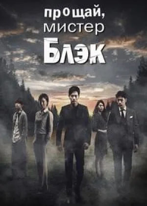 Прощайте, мистер Блэк