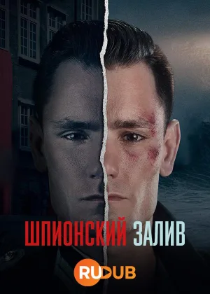 Шпионский залив