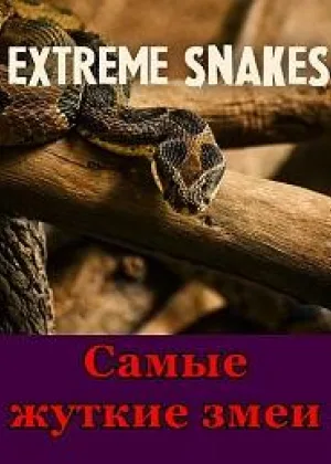 Самые жуткие змеи