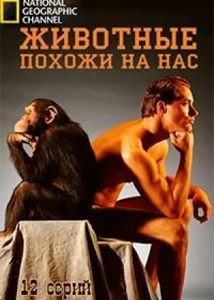 Животные похожи на нас