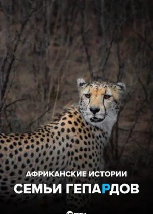 Африканские истории семьи гепардов