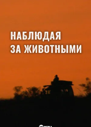Наблюдая за животными