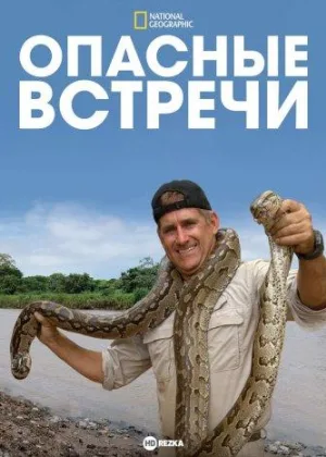 Опасные встречи