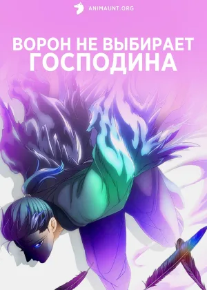 Ворон не выбирает господина
