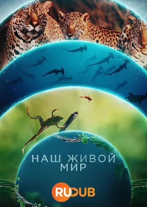 Наш живой мир