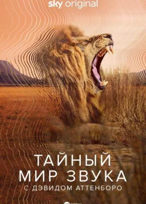 Тайный мир звука с Дэвидом Аттенборо