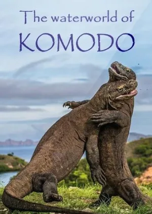 Водный мир острова Комодо