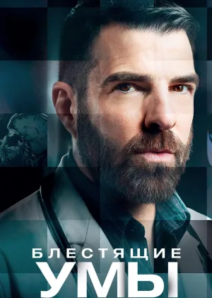 Блестящие умы